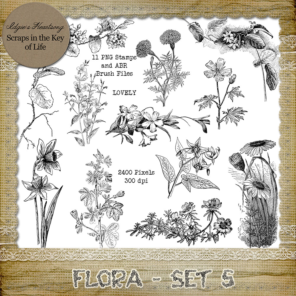 FLORA - Set 5 - 11 PNG Stamps and ABR Brush Files by Idgie's Heartsong