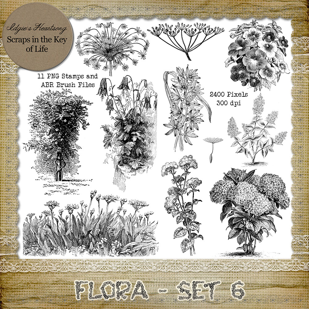 FLORA - Set 6 - 11 PNG Stamps and ABR Brush Files by Idgie's Heartsong