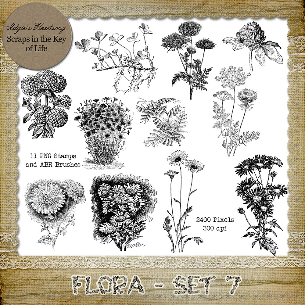 FLORA - Set 7 - 11 PNG Stamps and ABR Brush Files by Idgie's Heartsong