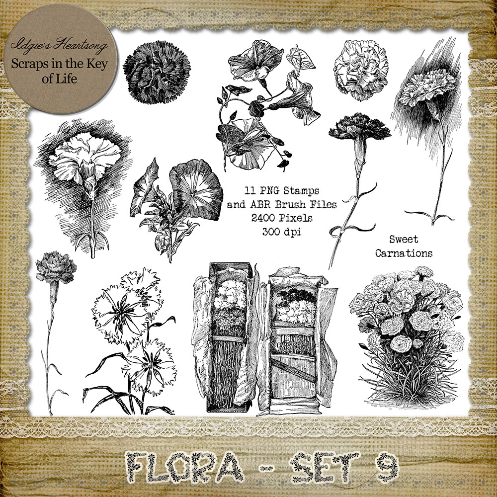 FLORA - Set 9 - 11 PNG Stamps and ABR Brush Files by Idgie's Heartsong
