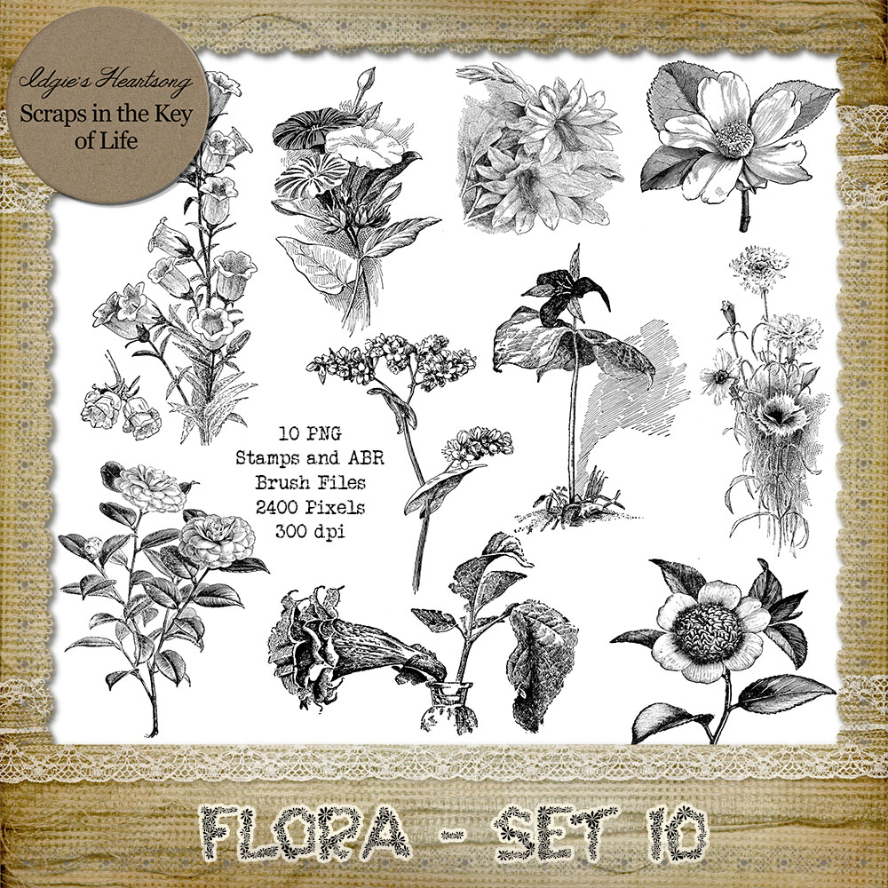 FLORA - Set 10 - 10 PNG Stamps and ABR Brush Files by Idgie's Heartsong