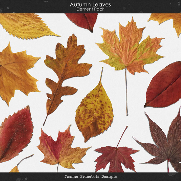 Autumn Leaves Element Pack