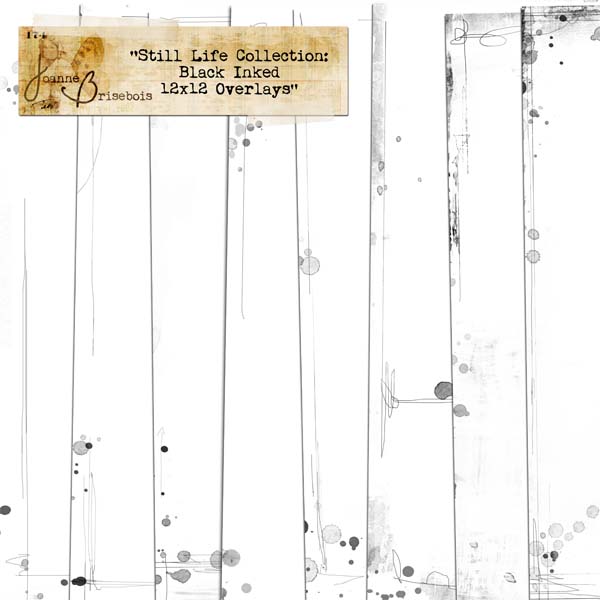 Still Life Collection: 12x12 Black Inked Overlays Element Pack