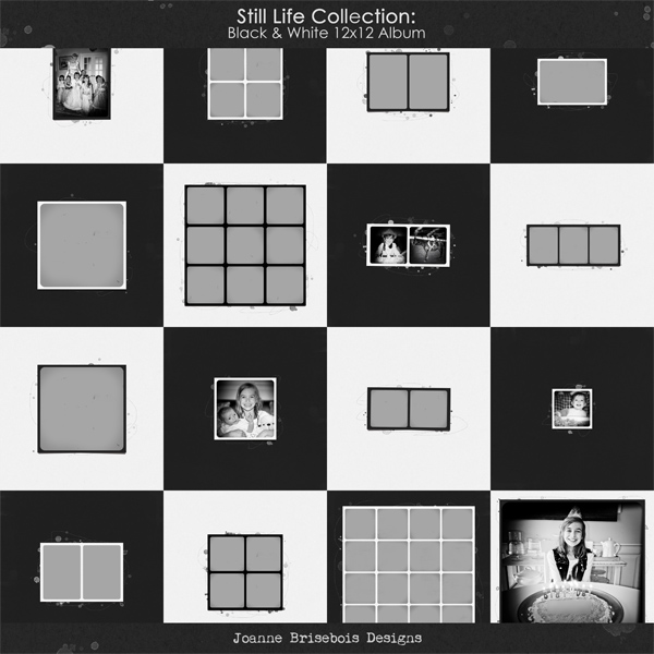 Still Life Collection: Black & White 12x12 Album