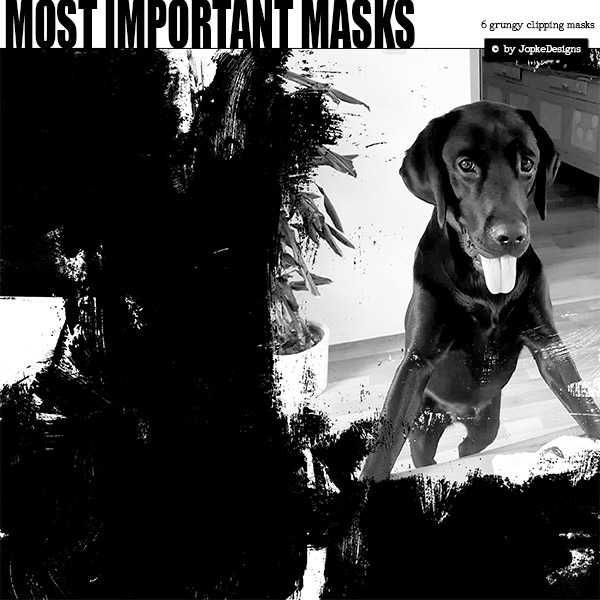 Most Important Masks