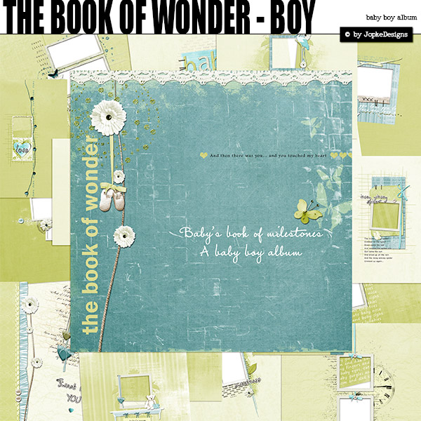 The Book Of Wonder Boy
