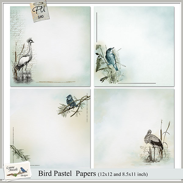 Bird Pastel Papers