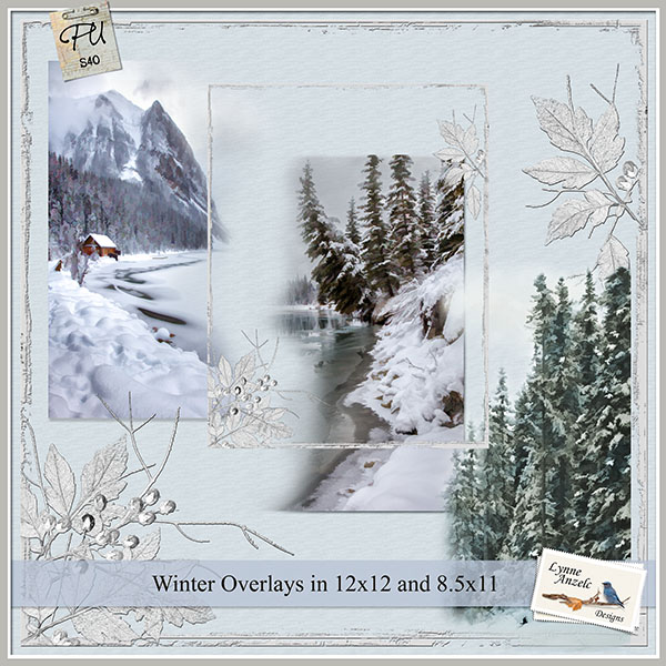 Winter Overlays