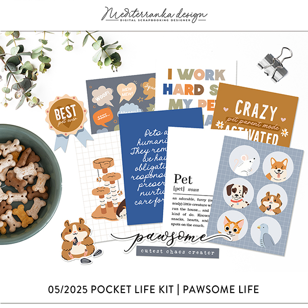 May 2025 Pocket life kit (Pawsome life) 