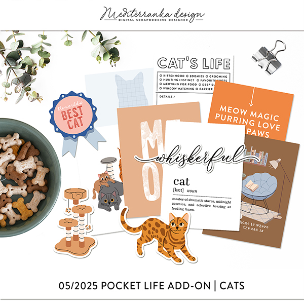 May 2025 Pocket life kit (Cats) 