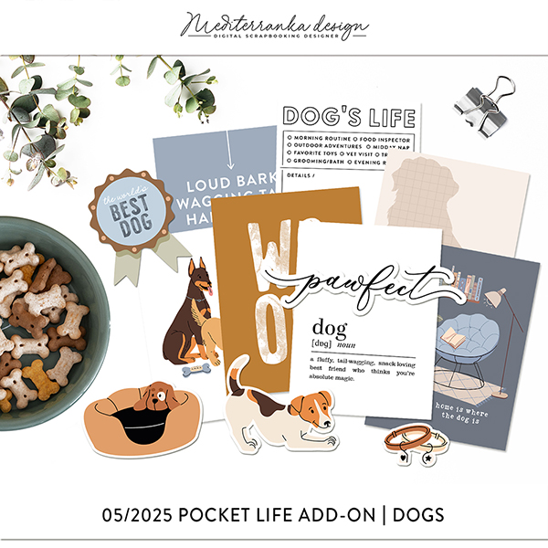 May 2025 Pocket life kit (Dogs)
