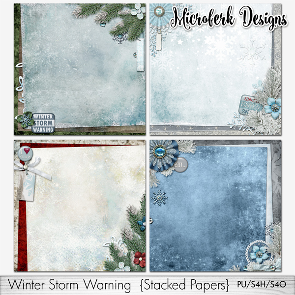 Winter storm essay 07 picture