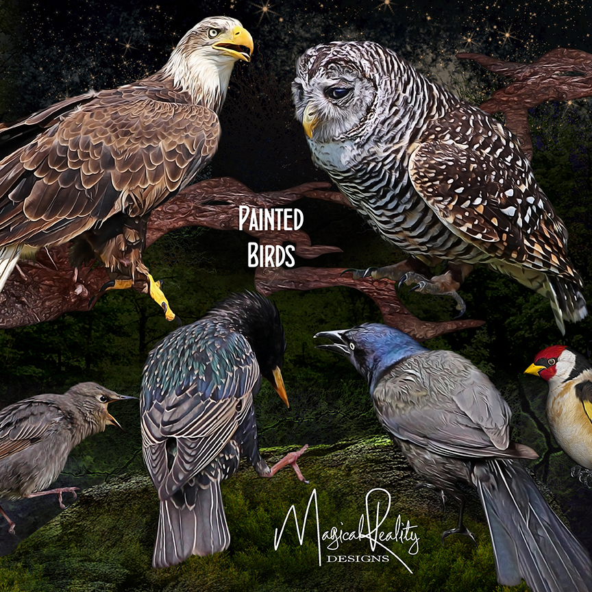Painted Birds CU by MagicalReality Designs