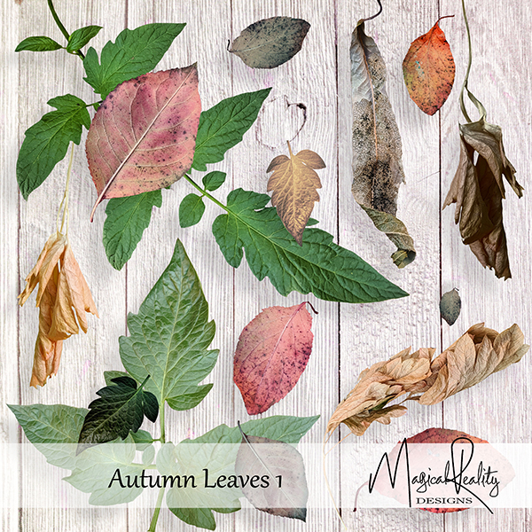 Autumn Leaves 1 CU by MagicalReality Designs