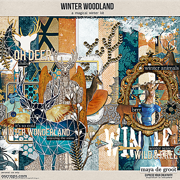 Winter Woodland 