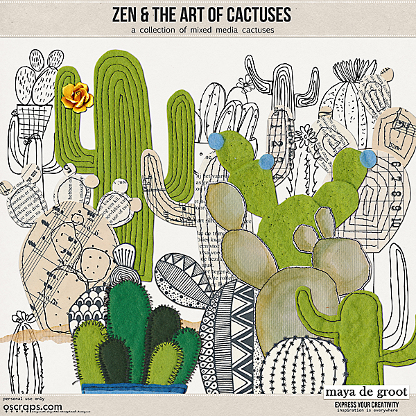 Zen and the Art of:  Cactuses