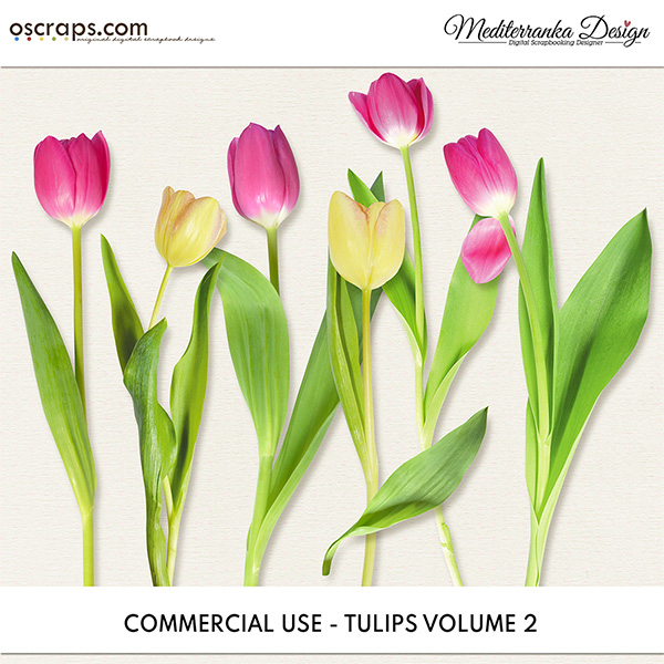 CU - Tulips vol.2 