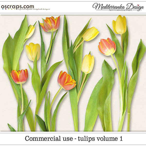 CU - Tulips vol. 1 