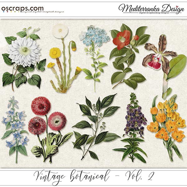 Vintage botanical vol 2 