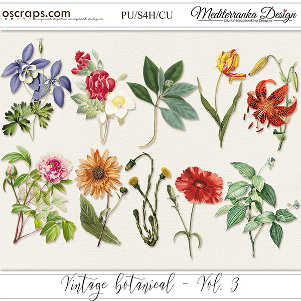 Vintage botanical vol 3 