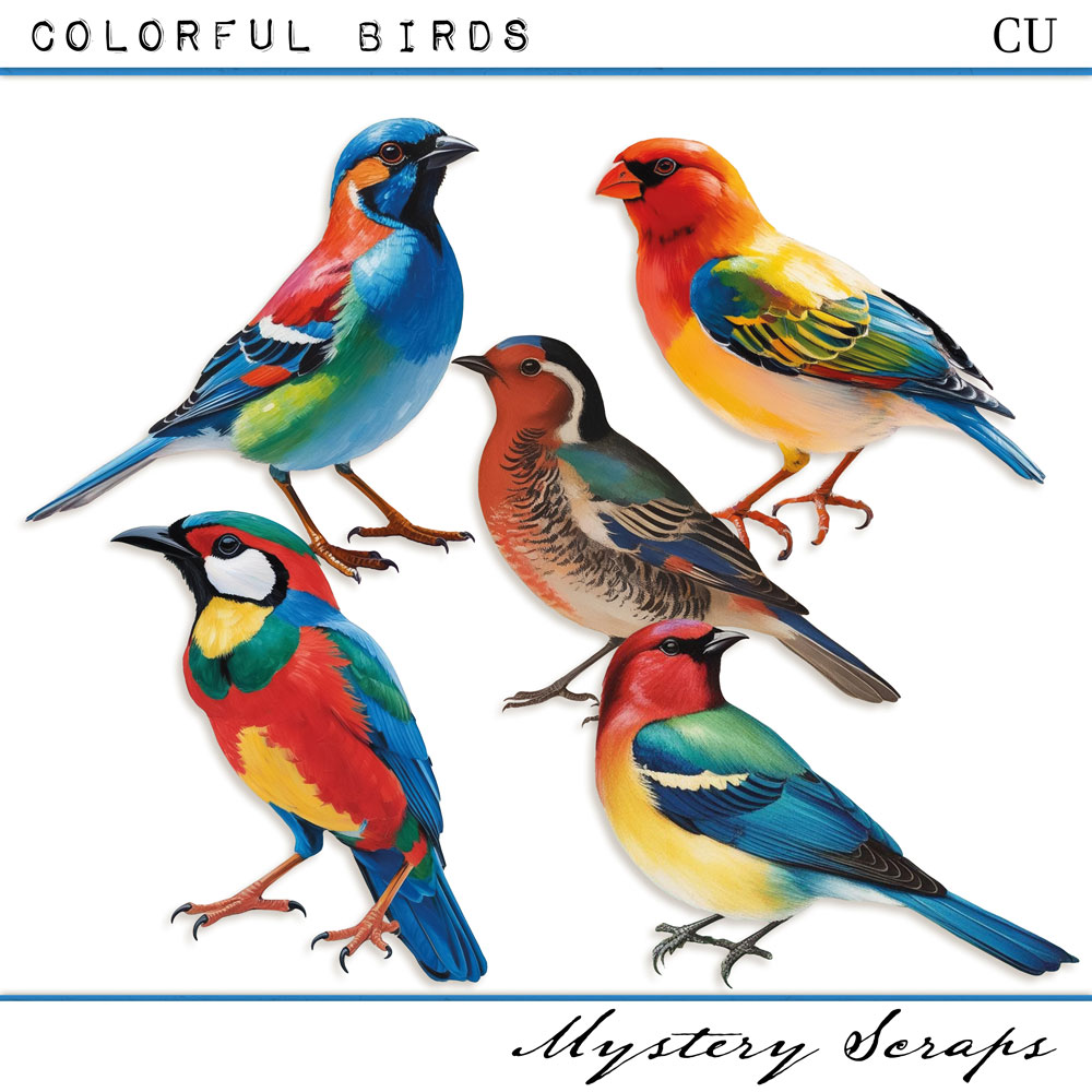 Colorful Birds CU by Mystery Scraps