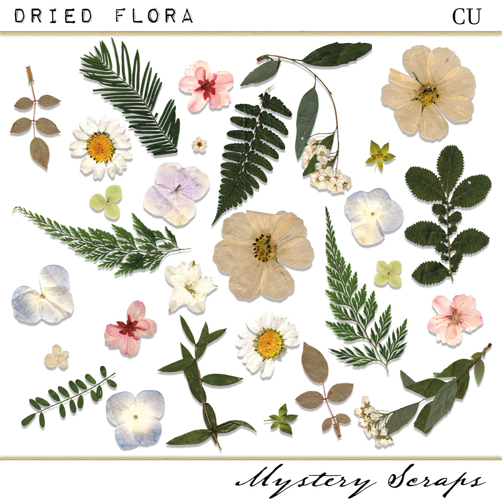 CU Dried Flora by Mystery Scraps 