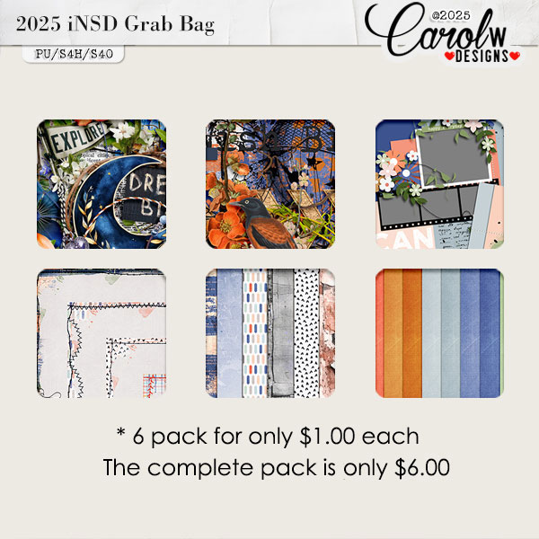 2025 iNSD Grab Bag-"Dare to Dream"