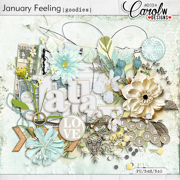 January Feeling-Goodies
