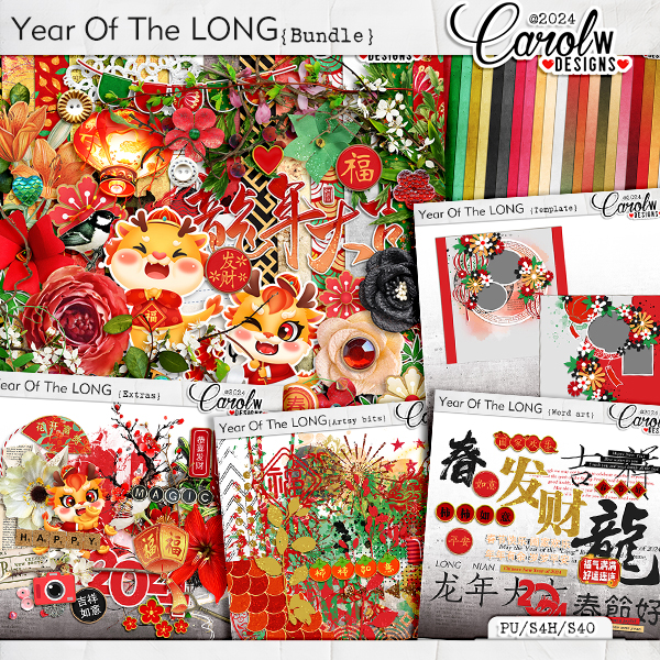 Year of the "LONG"-Bundle