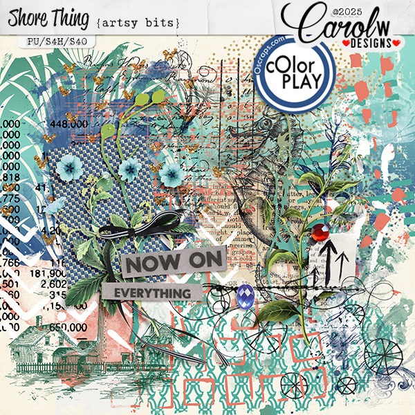 Shore Thing-Artsy bits