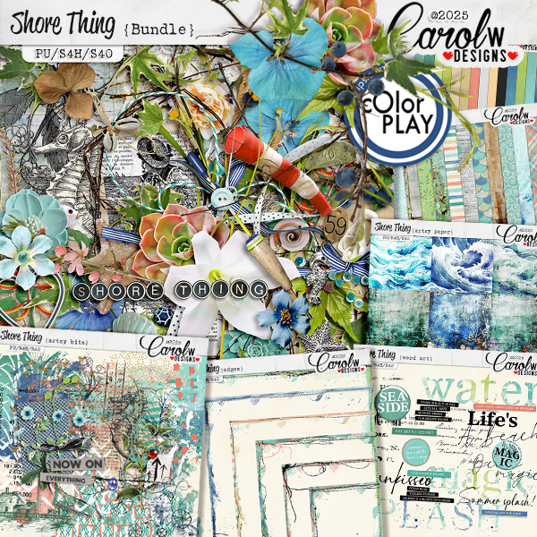 Shore Thing-Bundle