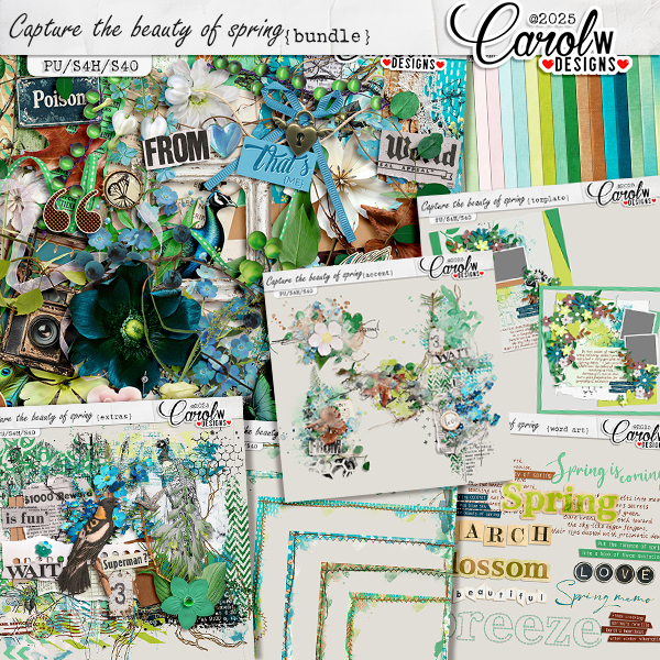 Capture the beauty of spring-Bundle