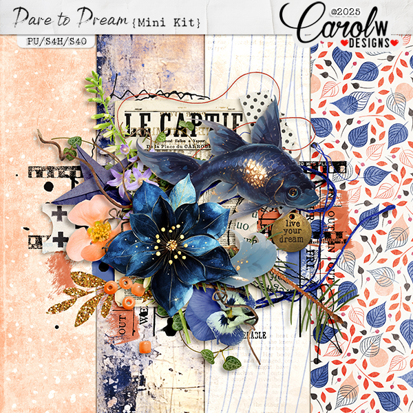 Dare to Dream-Mini Kit