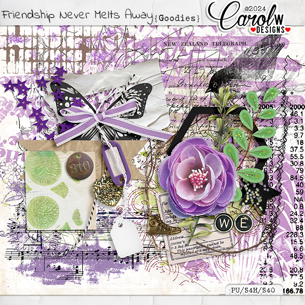 Friendship Never Melts Away-Goodies