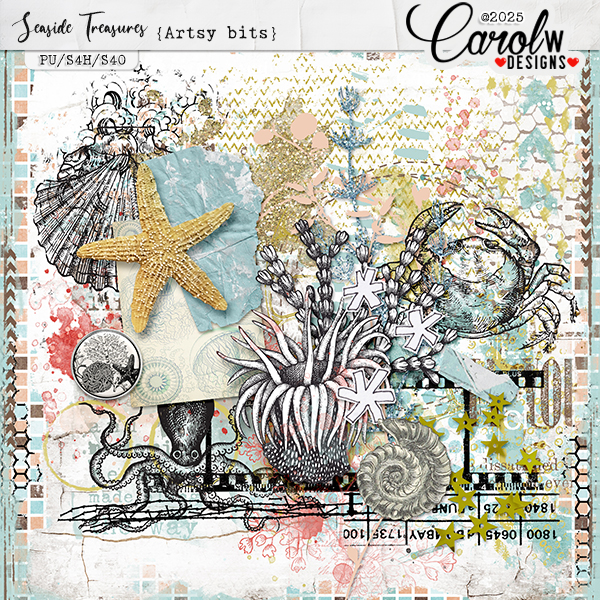 Seaside Treasures-Artsy bits