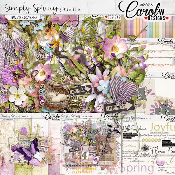 Simply Spring-Bundle