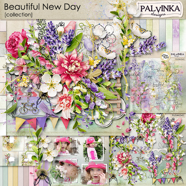 Beautiful New Day Collection & QP
