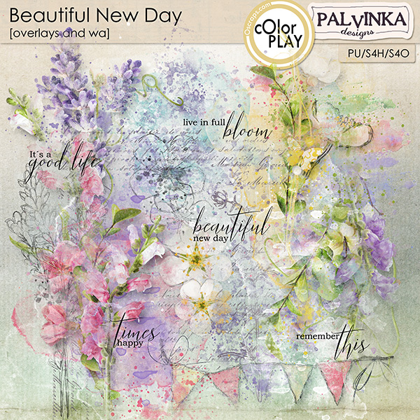 Beautiful New Day Overlays and WA