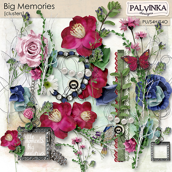 Big Memories Clusters