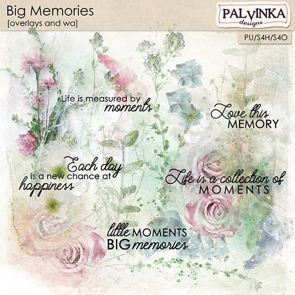 Big Memories Overlays and WA