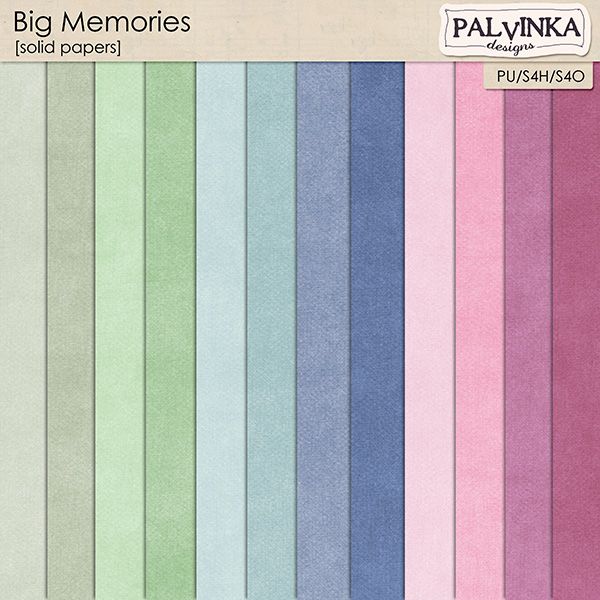 Big Memories Solid Papers Big Memories Solid Papers