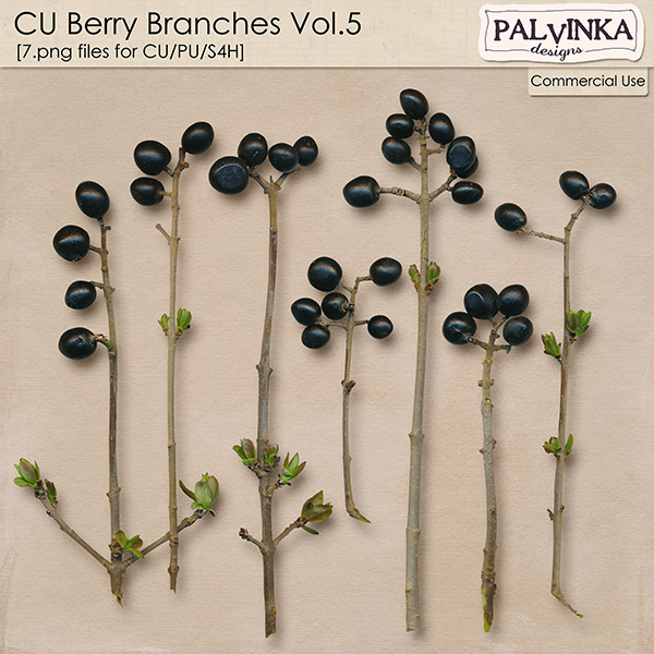 CU Berry Branches 5