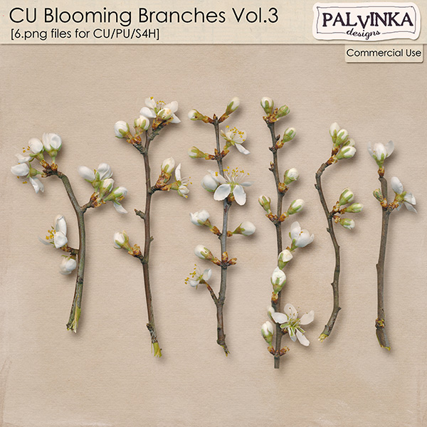 CU Blooming Branches 3