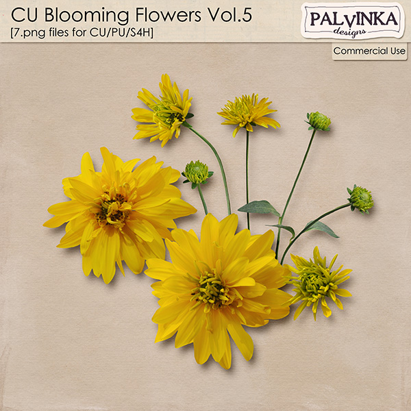 CU Blooming Flowers Vol.5 