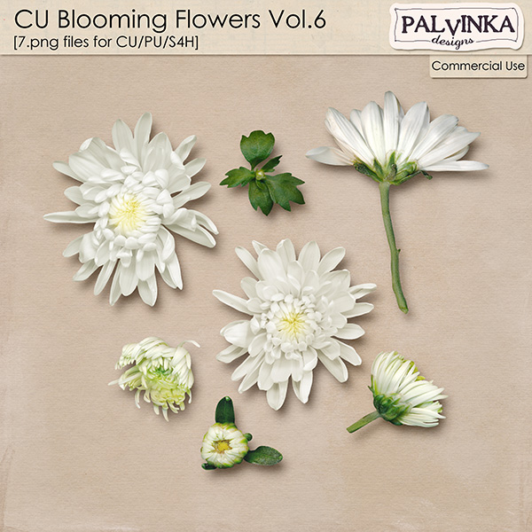 CU Blooming Flowers Vol.6 