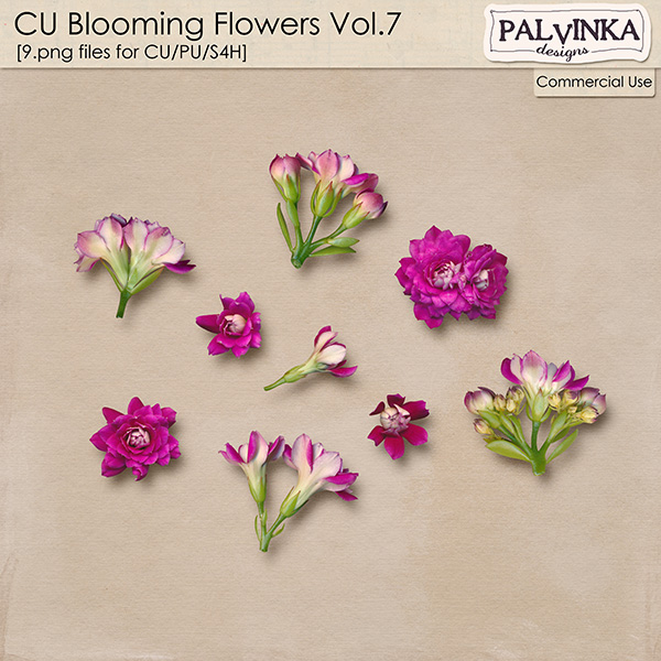 CU Blooming Flowers 7