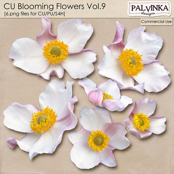 CU Blooming Flowers 9