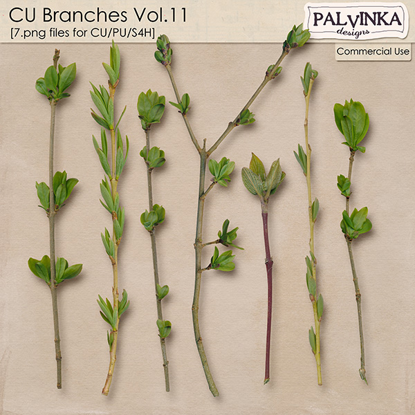 CU Branches 11