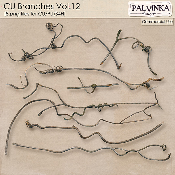CU Branches 12