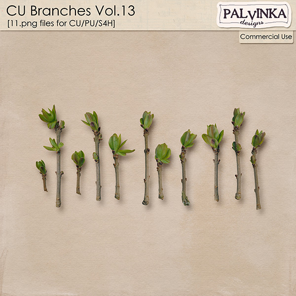 CU Branches 13